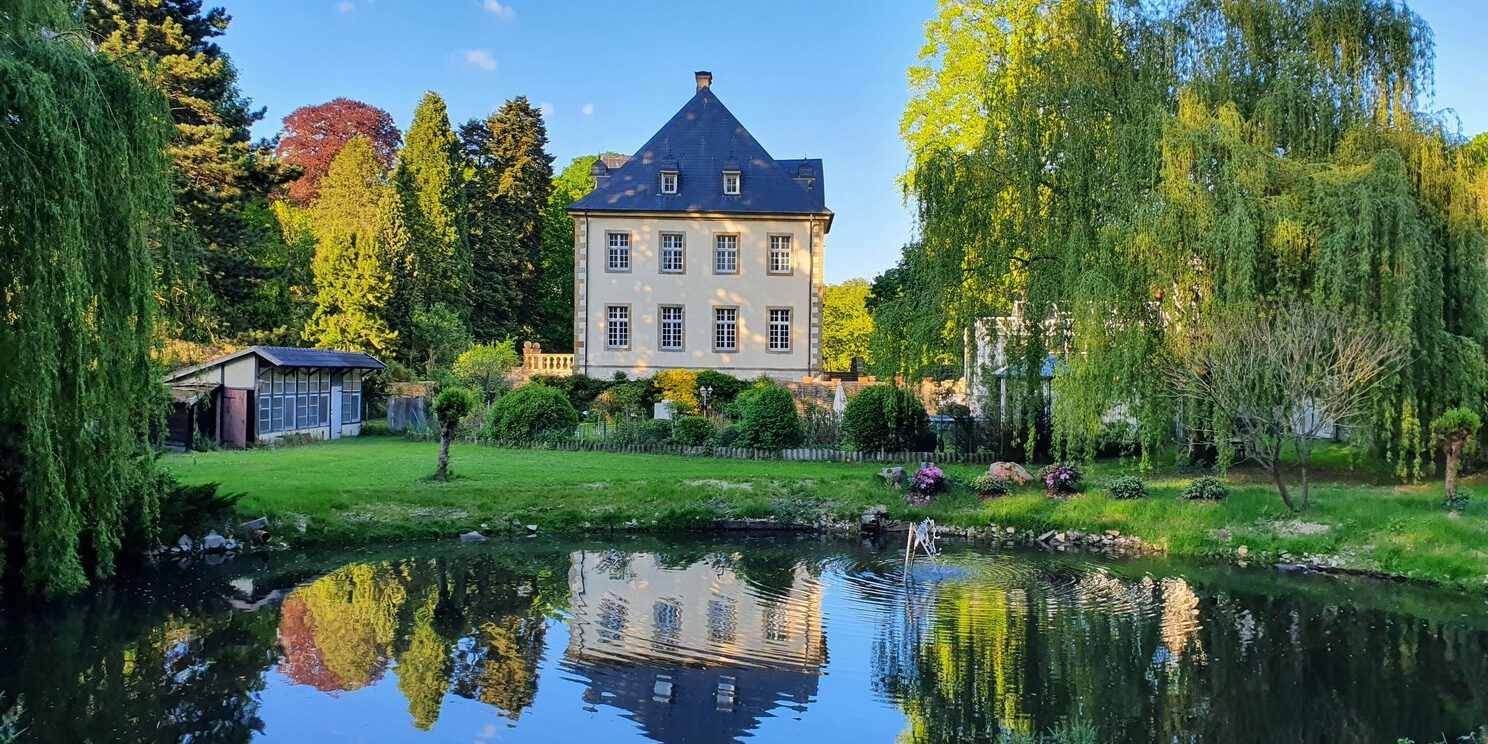 Rund um Gut Leye warten ausgedehnte Wälder darauf, erkundet zu werden.