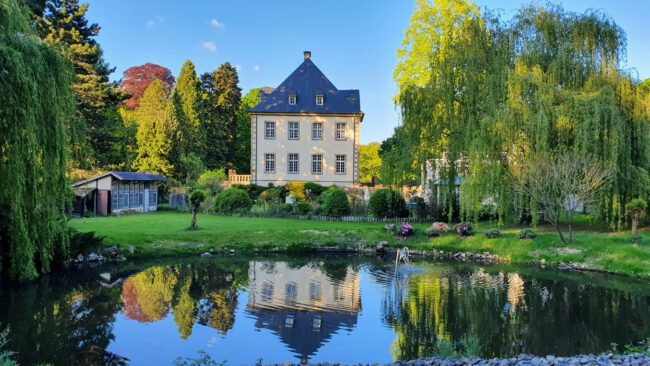 Rund um Gut Leye warten ausgedehnte Wälder darauf, erkundet zu werden.