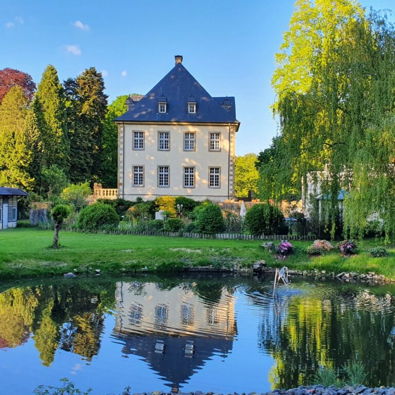 Rund um Gut Leye warten ausgedehnte Wälder darauf, erkundet zu werden.