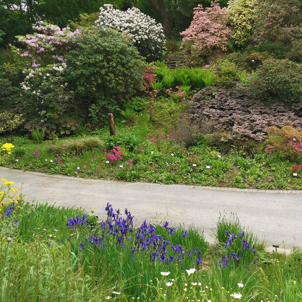 Botanischer Garten Osnabrück