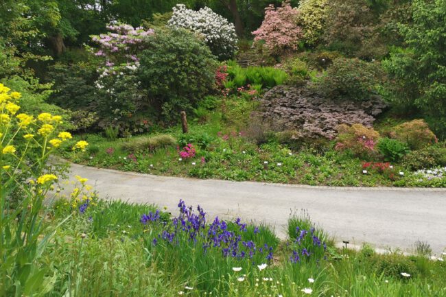 Botanischer Garten Osnabrück