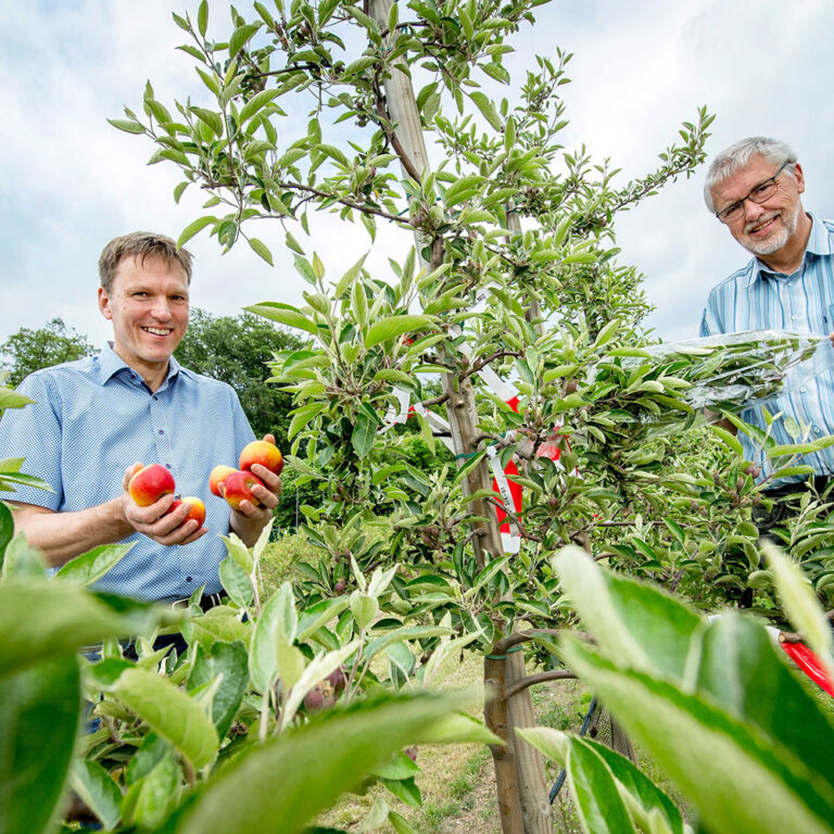 Apfellinnovationszentrum-Artikel Prof. Dr. Ulrich Enneking und Prof. Dr. Werner Dierend von der Hochschule Osnabrück forschen in Haste rund um das Lieblingsobst der Deutschen.