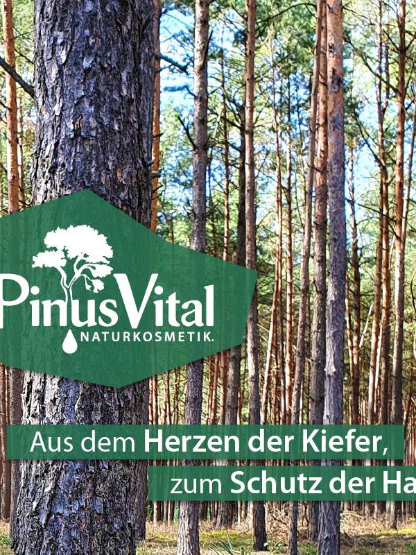 Wilms GmbH - Zertifizierte Naturkosmetik aus dem Herzen der Kiefer, zum Schutz der Haut