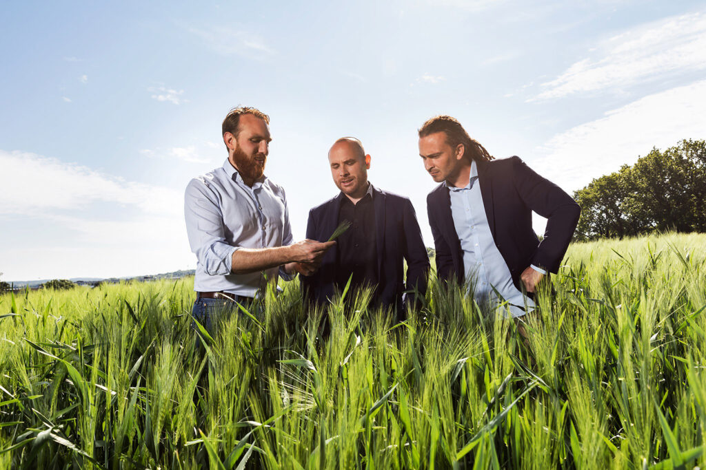 Auf dem Feld (v.l.n.r.): Jacob Bussmann (CEO), Heiner Steinbrink (CFO/COO) und Jan Ritter (CTO). Foto: SeedForward GmbH