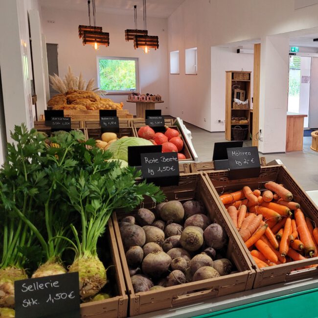 Hof_Massmann_Titelbild